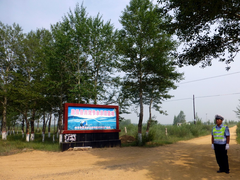 p1230442.jpg
