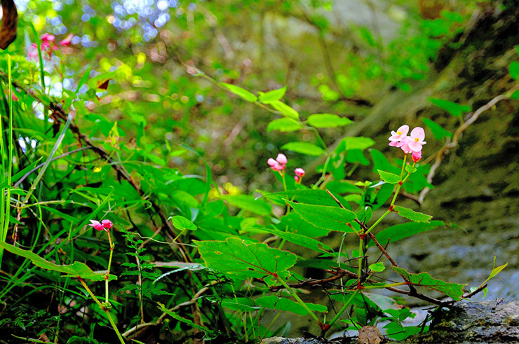 dsc_0849_.jpg