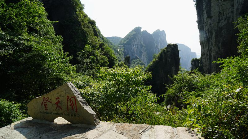 dsc03582_.jpg