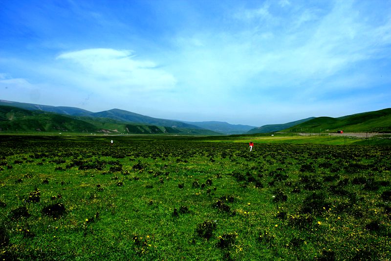 img_7311.jpg