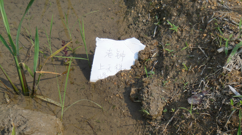 dsc07734.jpg