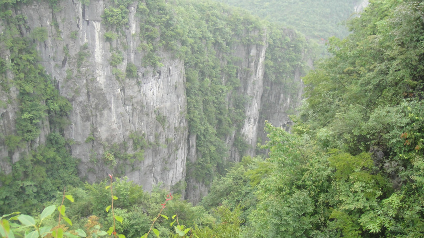 dsc01488.jpg