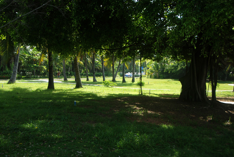 117.jpg