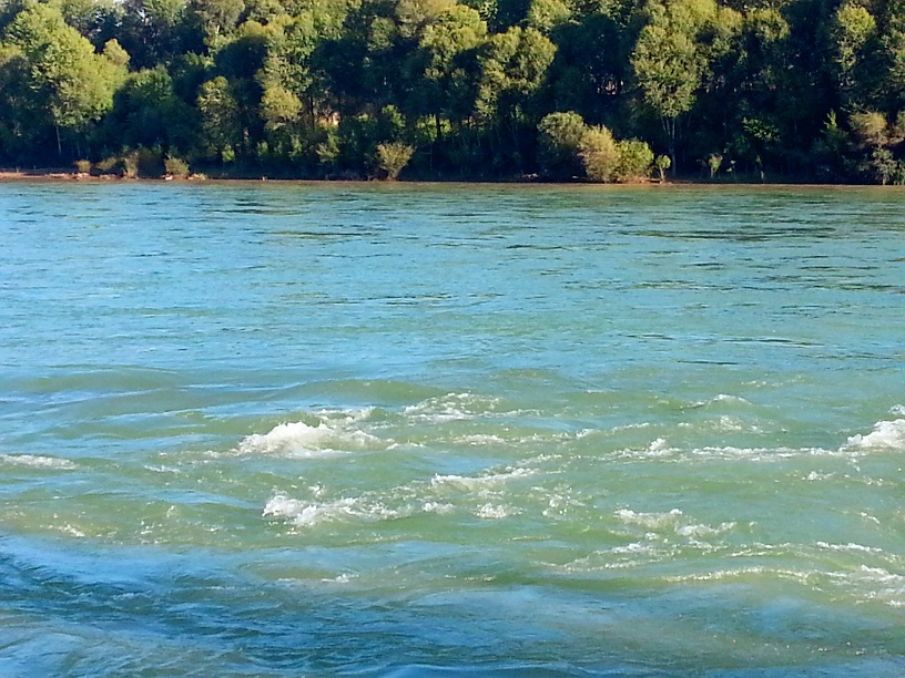 20140725_075530_.jpg