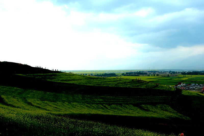 img_8420.jpg