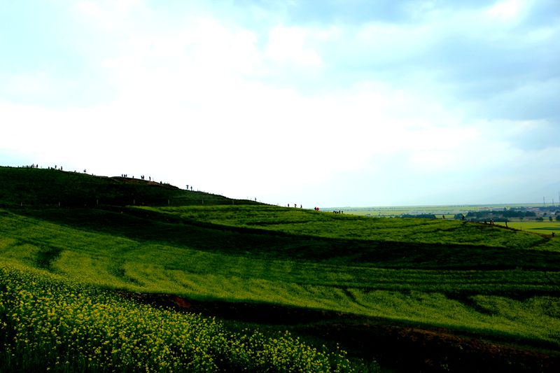 img_8431.jpg
