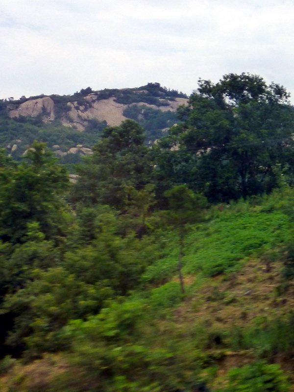 p1230593.jpg