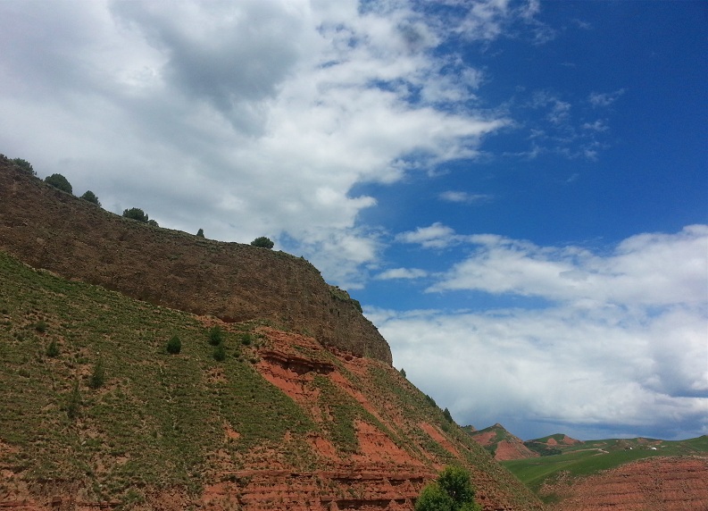 20140725_141036_.jpg