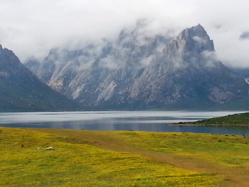 20140727_085226_.jpg