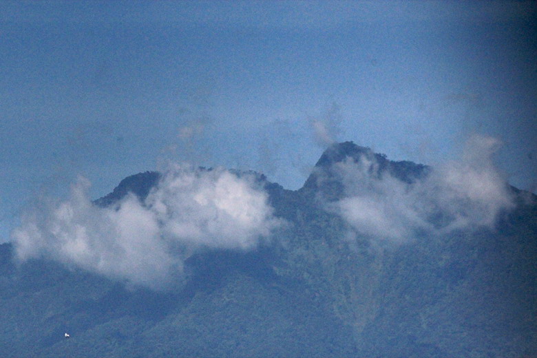 66.jpg