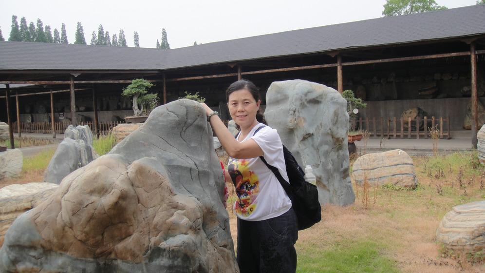 dsc08678.jpg