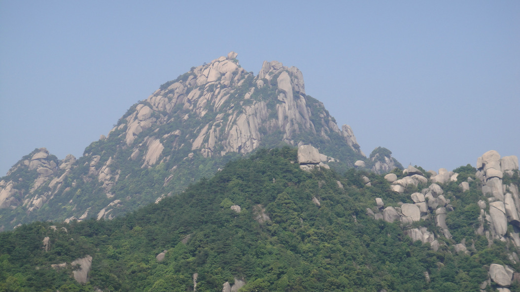 dsc08175.jpg