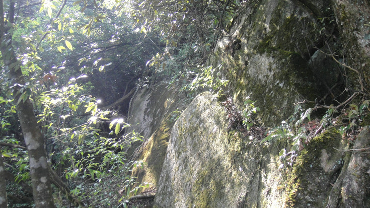 dsc08185.jpg