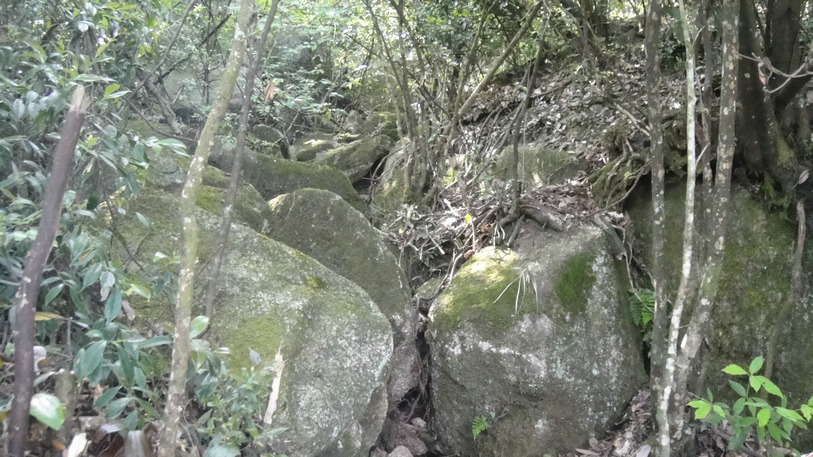 dsc08193.jpg