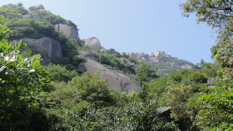 dsc08200.jpg