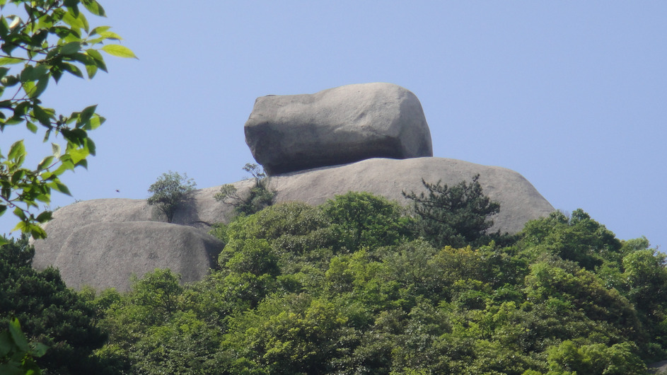 dsc08202.jpg