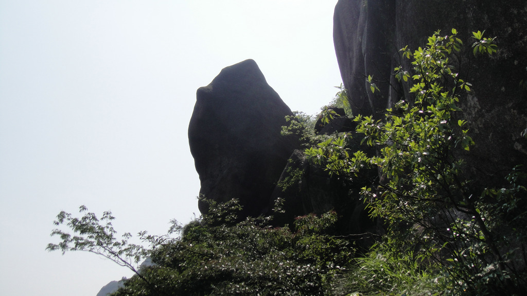 dsc08206.jpg