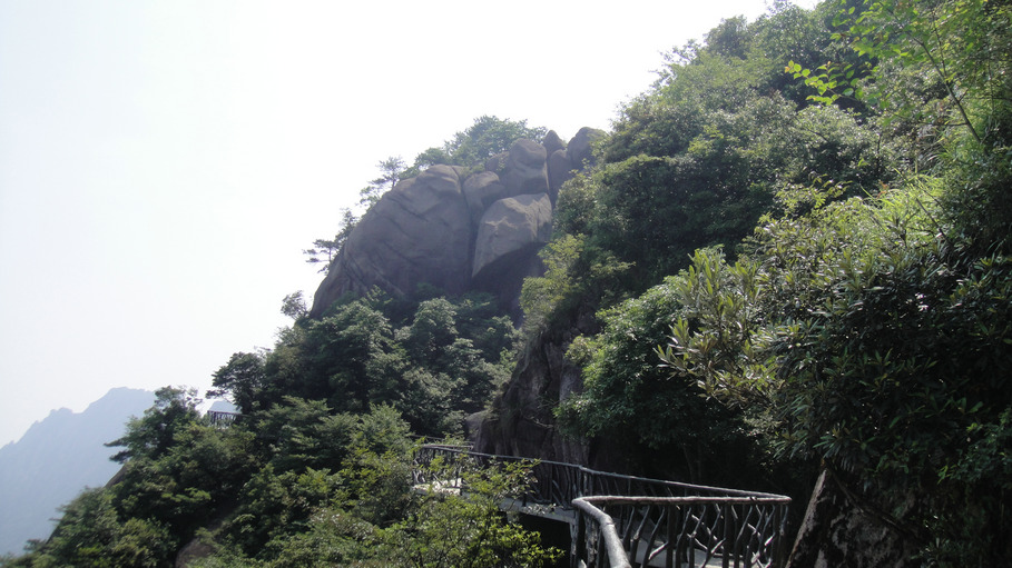 dsc08214.jpg