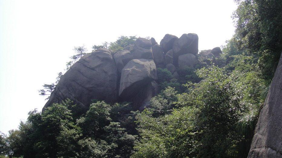 dsc08215.jpg