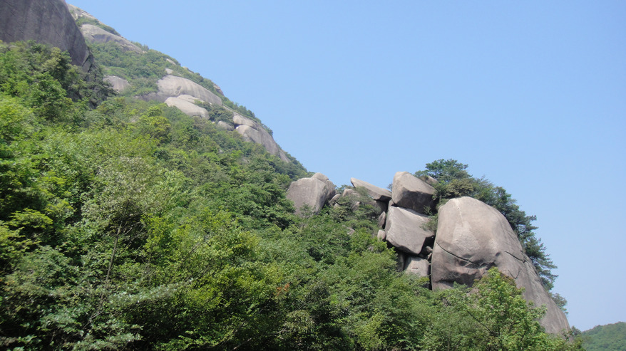 dsc08219.jpg