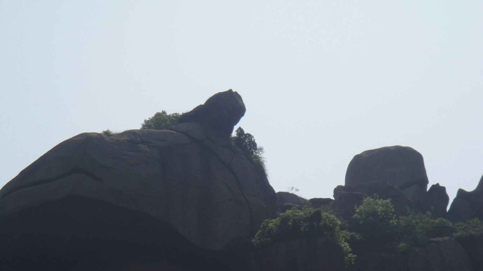 dsc08220.jpg