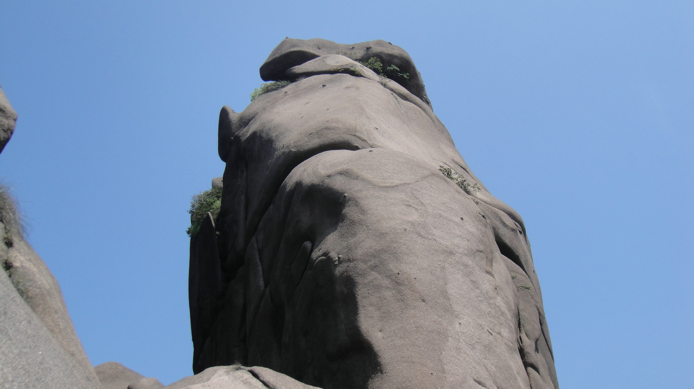 dsc08265.jpg