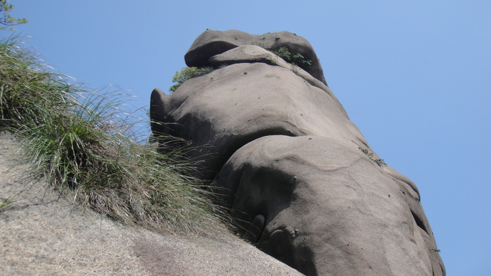 dsc08270.jpg