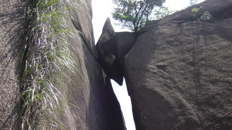 dsc08282.jpg