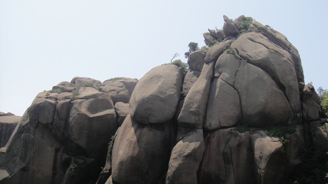 dsc08291.jpg