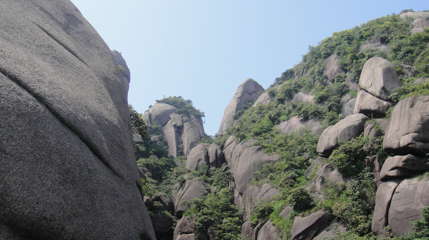 dsc08246.jpg