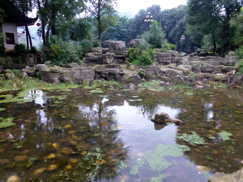 p1230745.jpg