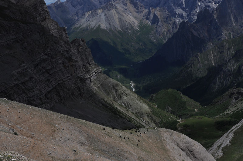 dsc_0605.jpg