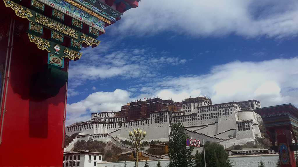 20140527_113854_.jpg