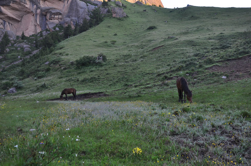 dsc_0634.jpg