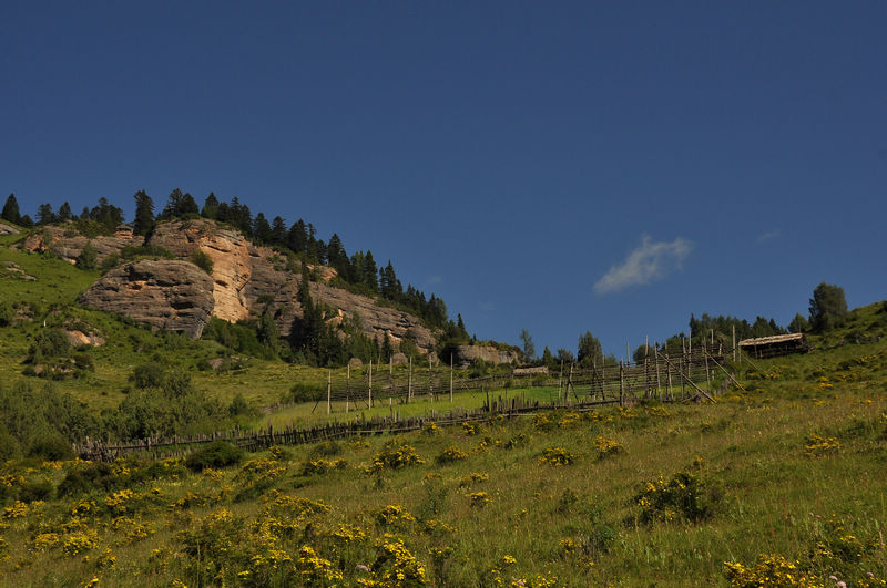 dsc_0796.jpg