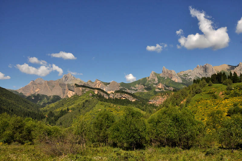 dsc_08.jpg