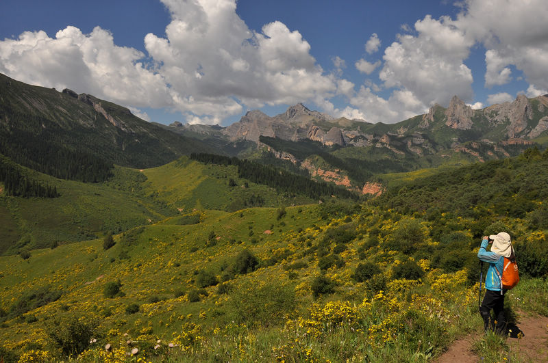 dsc_0870.jpg