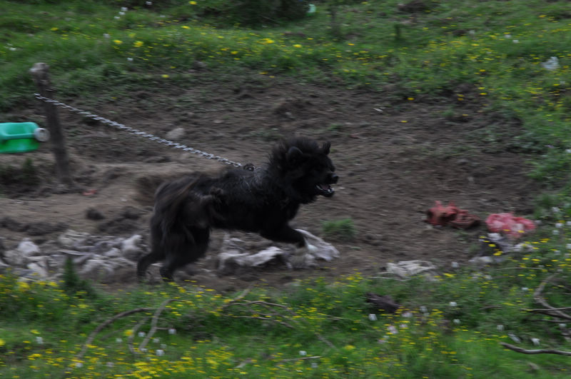 dsc_0957.jpg