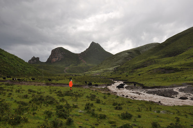 dsc_1002.jpg