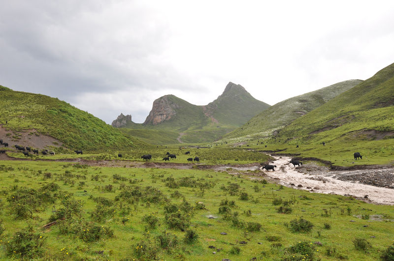 dsc_1005.jpg