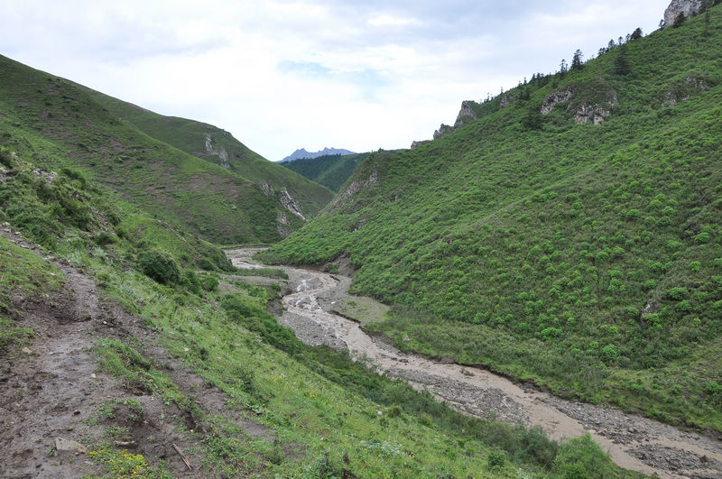 dsc_1009.jpg