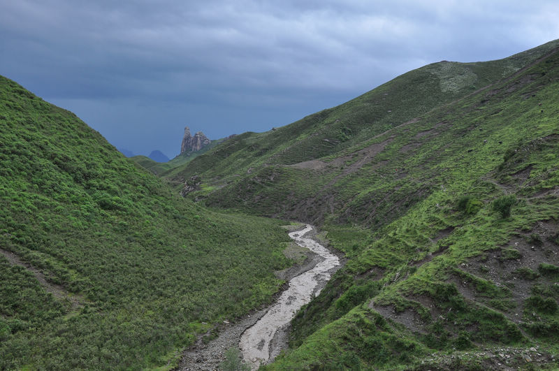 dsc_1010.jpg