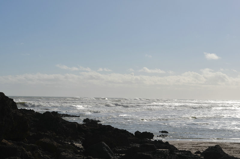 dsc_0172.jpg