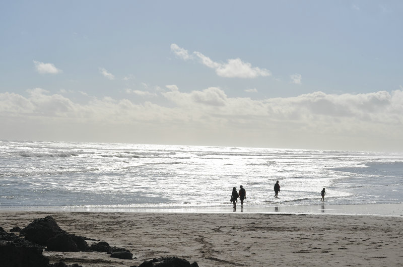 dsc_0173.jpg