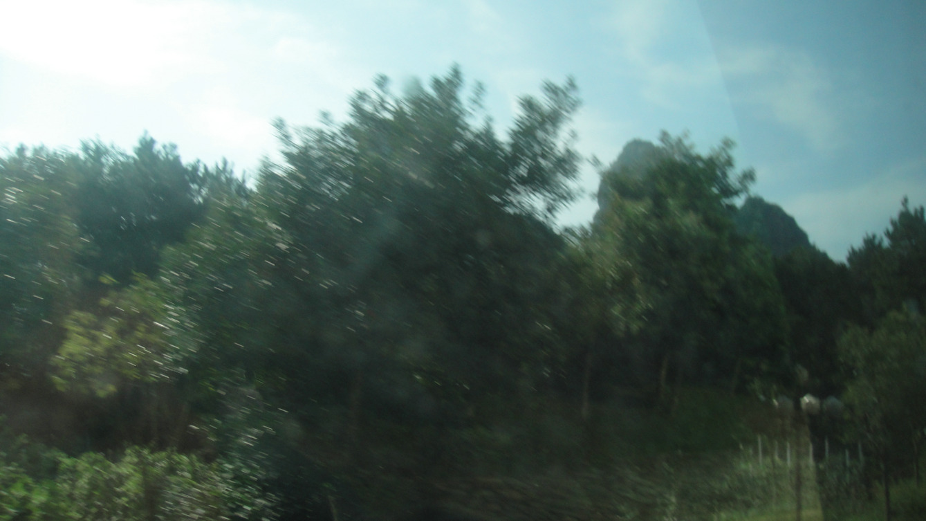 dsc03769.jpg