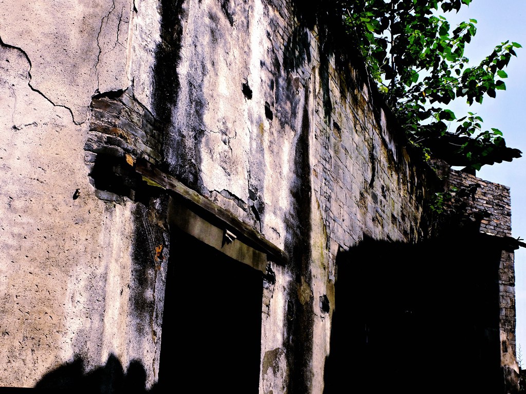 dscf1264.jpg