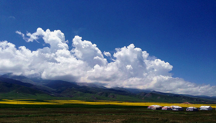 ԶԶĿ (1).jpg