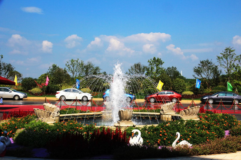 img_5831_СС.jpg