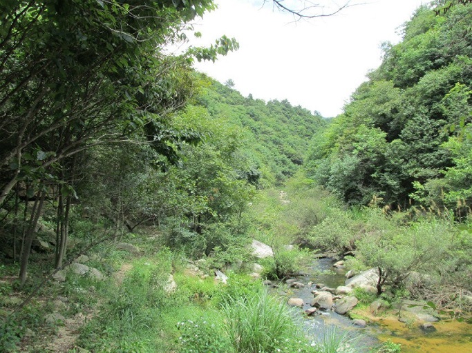 qqͼƬ20140804153711.jpg