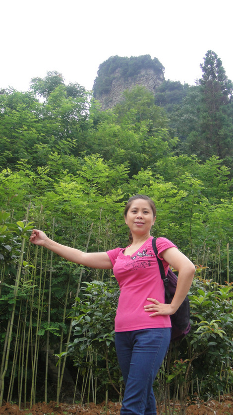 dsc01104.jpg